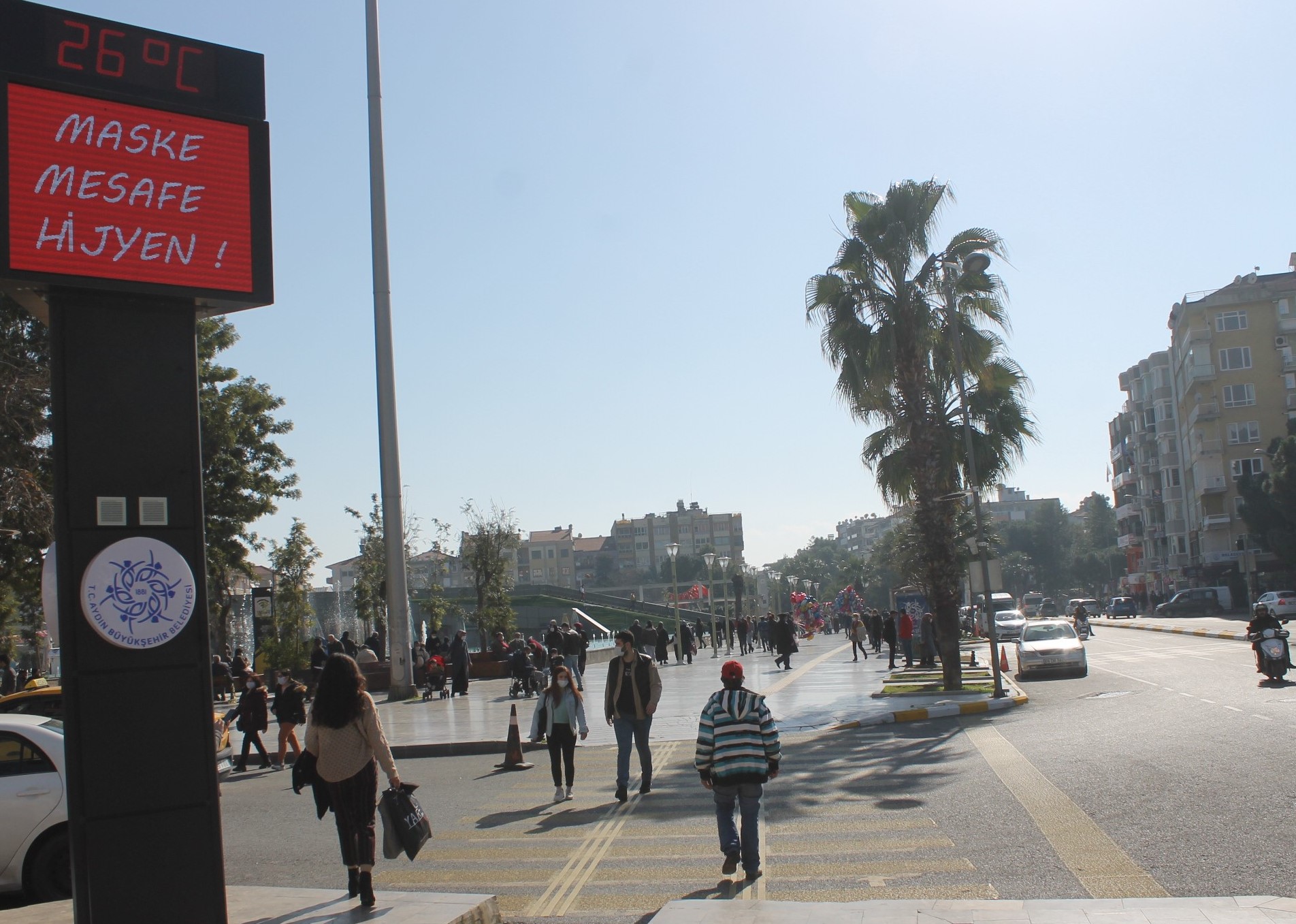 Aydın’da güneşi gören kendini dışarıya attı 