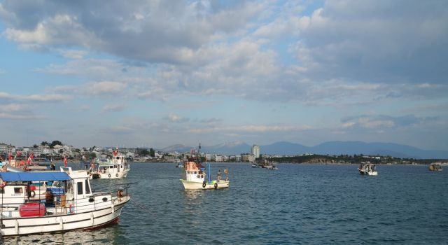      Didim’de deniz patlıcanı avcılığı sona erdi   