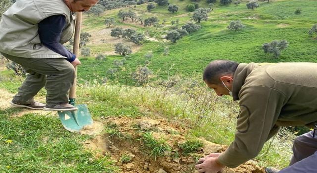 Orkide yumruları toprakla buluşturuldu