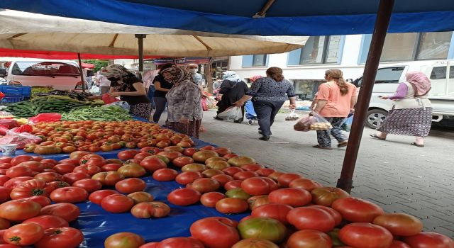 Nazilli'de Pazar Kuruldu