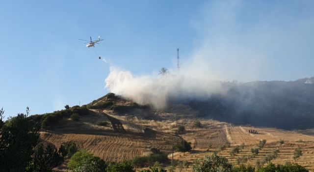 Nazilli'de Tarım Arazisi Yangını