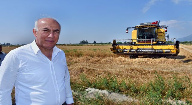 Söke Belediye Başkanı Tuncel, Buğday Hasadını Yerinde İzledi