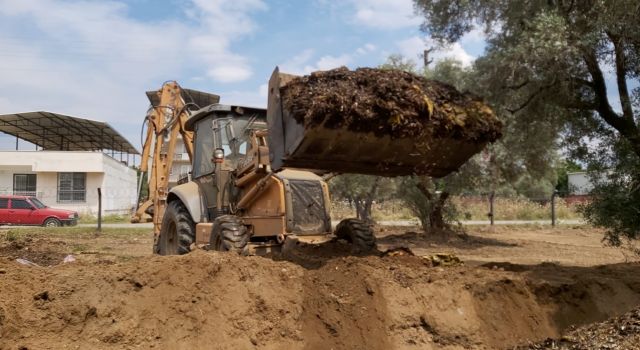 Atık Olarak Görülüyordu, Çok Değerli Olduğu Ortaya Çıktı