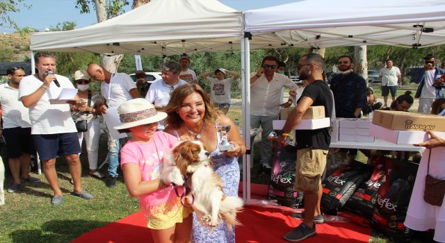 Can Dostların Festivalinde Köpekler Marifetlerini Sergiledi