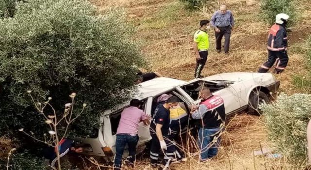 Direksiyon Hakimiyetini Kaybedip Zeytinlik Alana Uçtu