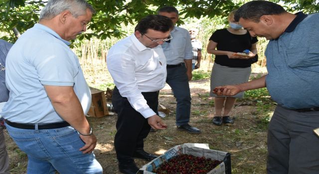 Efeler Kaymakamı Cemal Şahin Yağıştan Sonra İncelemelerde Bulundu