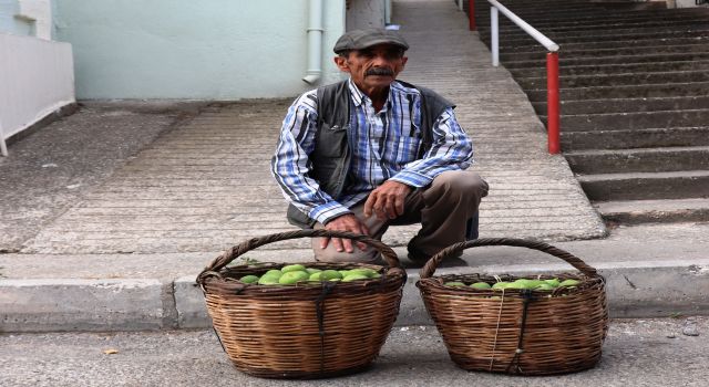 İlek Alım Satımları Başladı