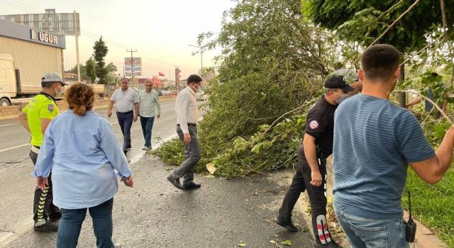 Nazilli Belediyesi'nden Zarar Gören Yerlere Müdahale