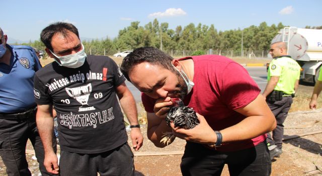 Polis Ve Vatandaştan Dumandan Etkilenen Hayvanlara İlkyardım