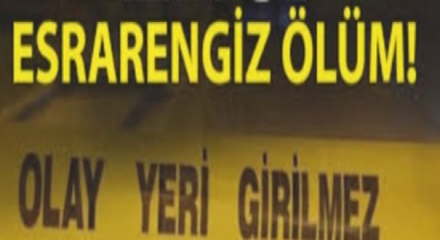 Aydın'da Şoförün Şüpheli Ölümü