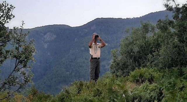 Aydın'da Yangın Nöbeti Tutuluyor