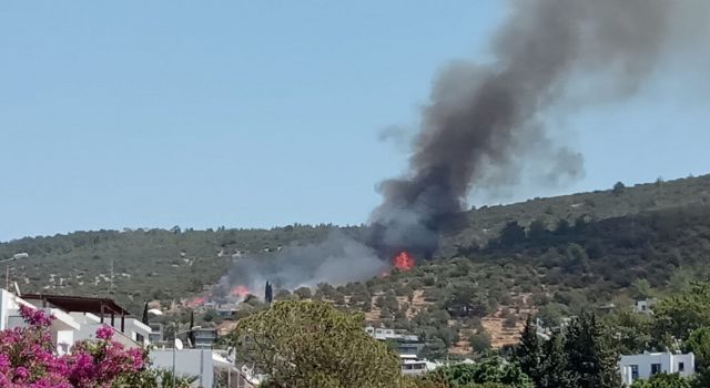 Bodrum’da Yangın Çıktı