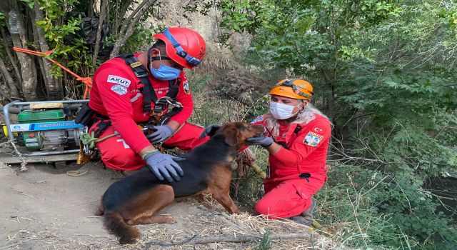 Gölete Düşen Köpeğin Yardımına Kuşadası AKUT Ekibi Koştu