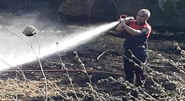 İtfaiyenin Hızlı Müdahalesi, Zeytin Ağaçlarını Kurtardı