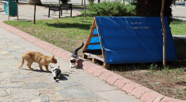 Nazilli’de Can Dostlar Unutulmuyor