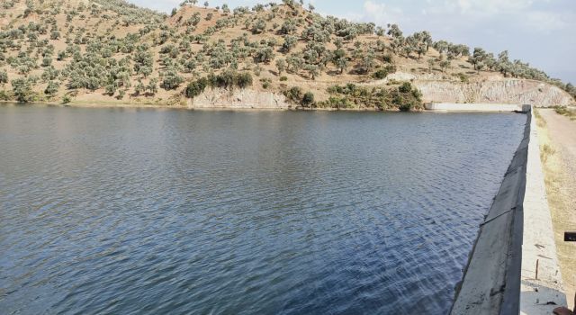 Pikniğe Giden Kadın Çocuklarının Gözü Önünde Gölete Atladı