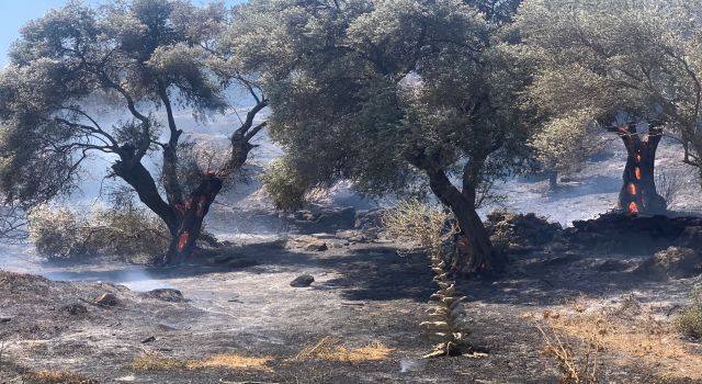 Söke’deki Yangını Söndürme Çalışmaları Devam Ediyor