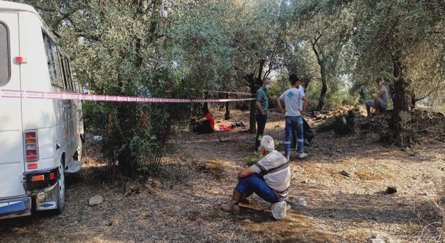 Sultanhisar'da Gölete Atlayan Kadının Cansız Bedeni Bulundu 