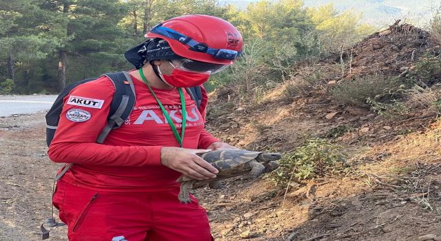 Bozdoğan'daki Yangın Söndürme Çalışmalarına Akut'ta Katıldı