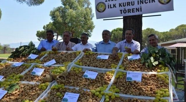 Buharkent Ziraat Odası Başkanı Naim Özdamar; ’35 TL’nin altında incir satmayın