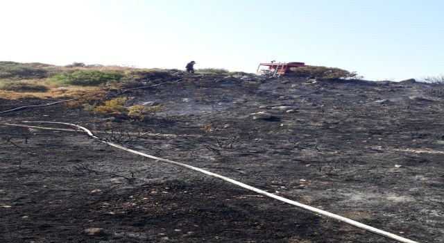 Didim’de Makilik Alandaki Yangın Kontrol Altına Alındı