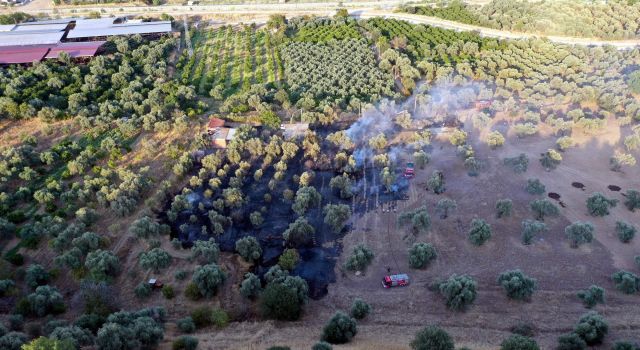 Yanlışlıkla Kendi Arazisini Yaktı