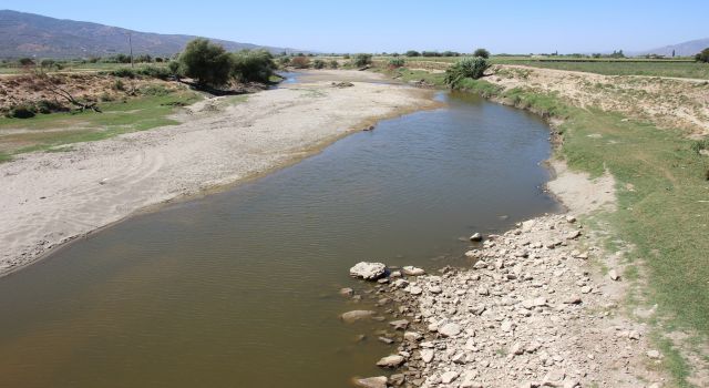 Büyük Menderes'in Kuruması Çiftçileri Tedirgin Ediyor