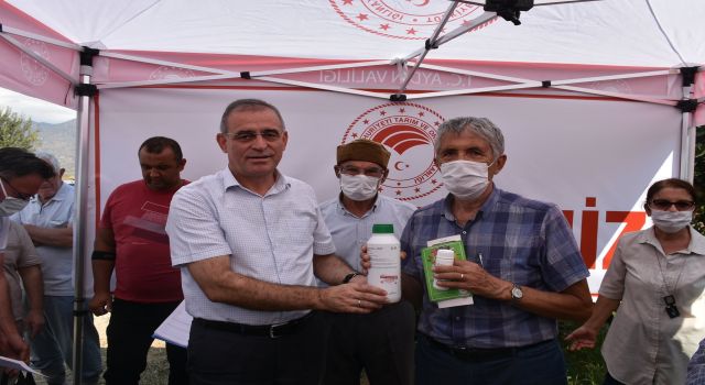 Turunçgil Düşmanı Akdeniz Sineği İle Mücadele Başladı