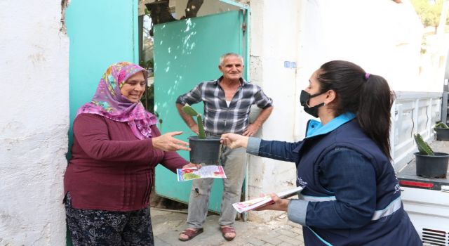 Aydın Büyükşehir Belediyesi oldukça değerli 'ejder meyvesi' fidesi dağıttı