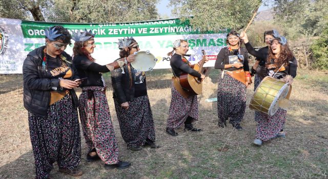 Çine'de 'Zeytin ve Zeytinyağı Festivali' renkli görüntülerle başladı