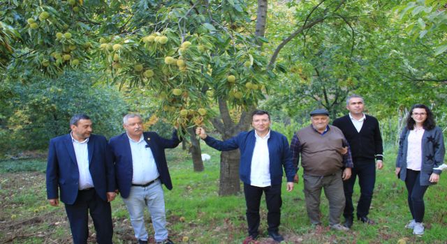 Kaymakam Kestane Hasatında Sezon Finalini Yaptı