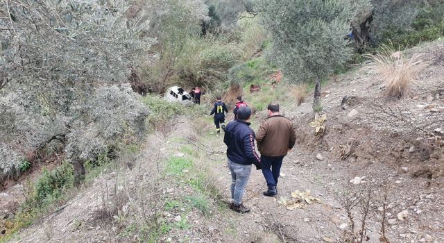 Araç 20 metrelik uçurumdan dereye düştü