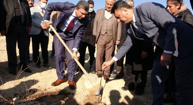 Aydın inciri Hasankeyf’teki toprakla buluştu