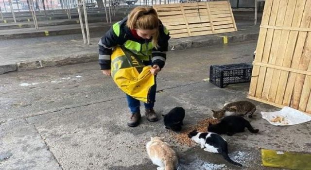 Buharkent Belediyesi can dostları yalnız bırakmadı