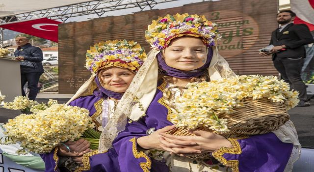 Karaburun’da Nergis Festivali için geri sayım