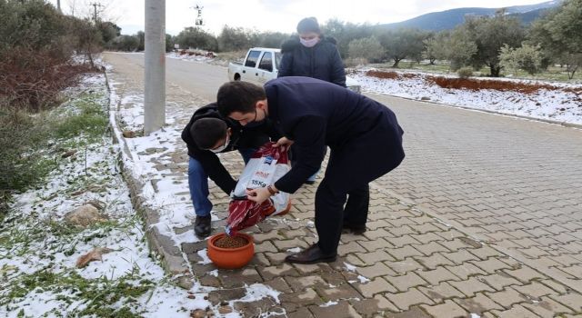 Kaymakam Alpay buz gibi havada sokak canlarını besledi