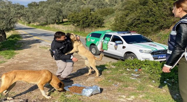 Polis ekipleri sokak canlarını unutmadı