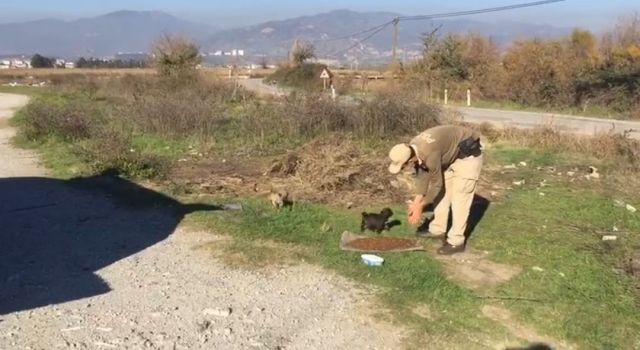 Sokak canları için restoran ve iş yerleri bilgilendirildi