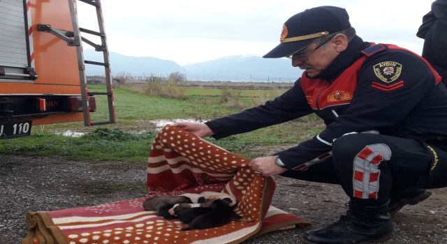 Yavru köpeklerin yardımına itfaiye ekipleri koştu