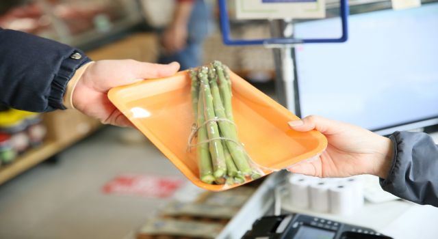 Aydın Büyükşehir’in ürettiği kuşkonmazlar Halk Ege Et Markette 