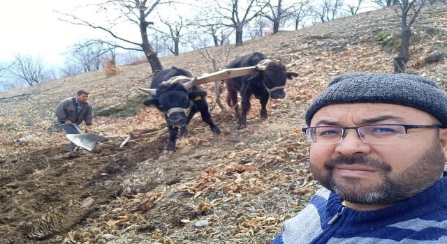 Aydın'da soğuklar bitti, tarım alanlarında çalışmalar başladı