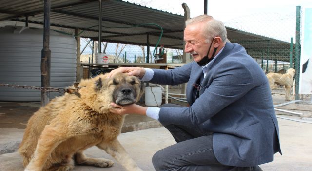 Başkan Atabay can dostlar için kolları sıvadı