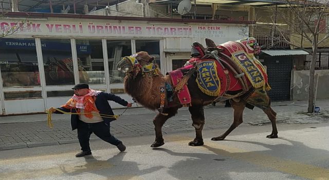 Develer Nazilli sokaklarında dolaştı