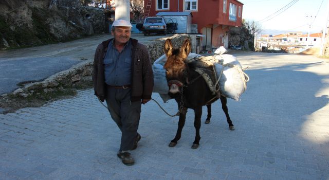 Yük hayvanları kıymete bindi