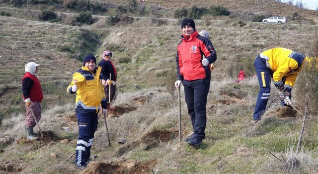 112 fidan toprakla buluştu