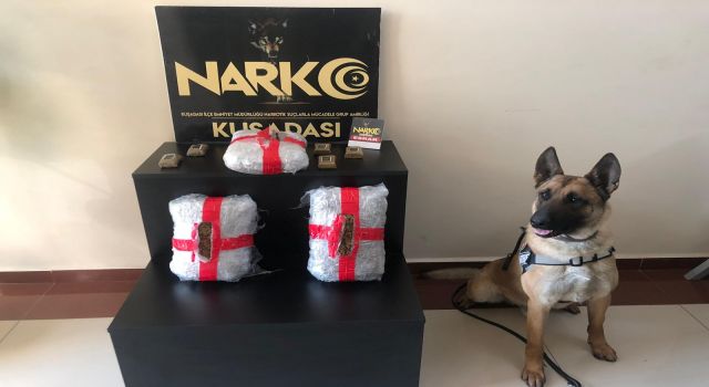 Narkotik köpeği Arthur, uyuşturucuya geçit vermiyor