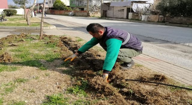 Nazilli’de yeşil alanlar yaza hazırlanıyor