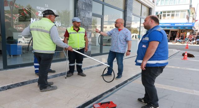 Aydın Büyükşehir Belediyesi ve Koçarlı Belediyesi'nden sokak canları için ortak çalışma 