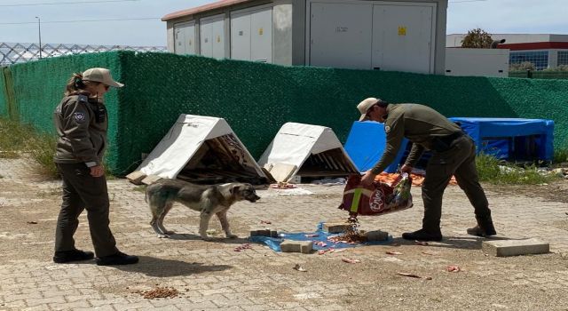 HAYDİ polislerinden 1 kap mama, 1 kap su” kampanyası