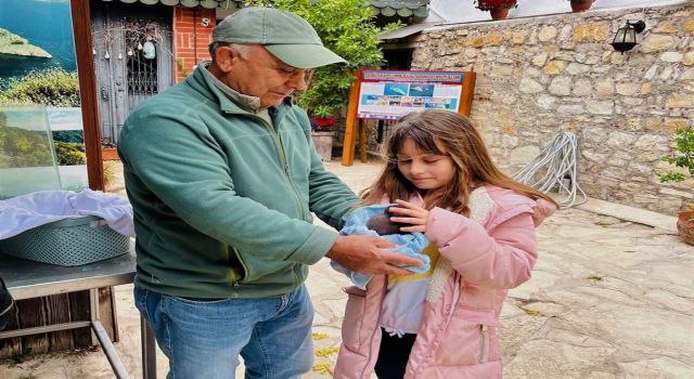 Küçük kızın bulduğu yavru sansar yaşama tutundu